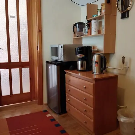 ホームステイ Romanowka *