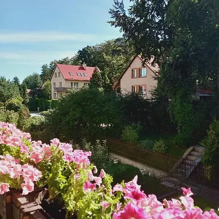 ホームステイ Romanowka レダ